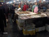 Fish market Dalian 