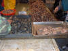 Fish market Dalian China