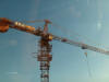 Picture of ubiquitous construction cranes.