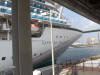Sapphire Princess picture from the dock in Osaka