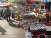 Photos of the fish market in Pusan