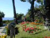 picture of a beautiful garden on Capri in Italy