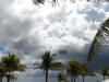 picture palm trees and sky Ft. Lauderdale Florida