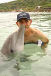 Picture of Dolphin kissing in Roatan our port destination on our cruise