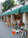 Tallinn - pictures of of the flower market.