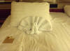 picture of a turkey folded out of a towel on the cruise ship Oosterdam