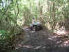 Norwegian Sea Photos - riding ATV in the jungle at Cozumel, a great shore excursion