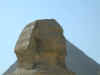 Close up of Sphinx in Egypt