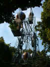 picture of the hot air ballon Ferris wheel ride in the gardens